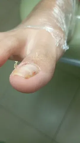Trabalho de Ana Paula Santana Magalhães