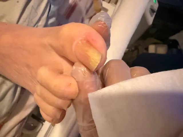Trabalho de Tatiane da Costa Bastos