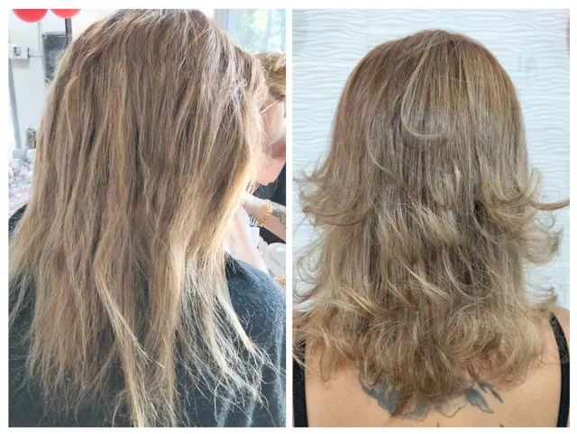 Trabalho de MONIQUE DE SOUZA MARQUES