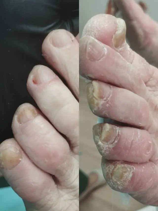 Trabalho de Maria Salvani