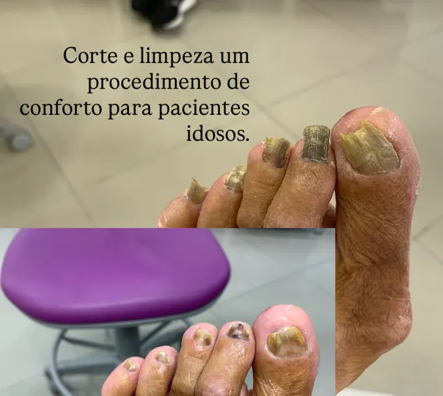 Trabalho de Izabel Martins