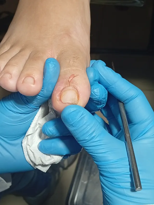 Trabalho de Cíntia Agripino