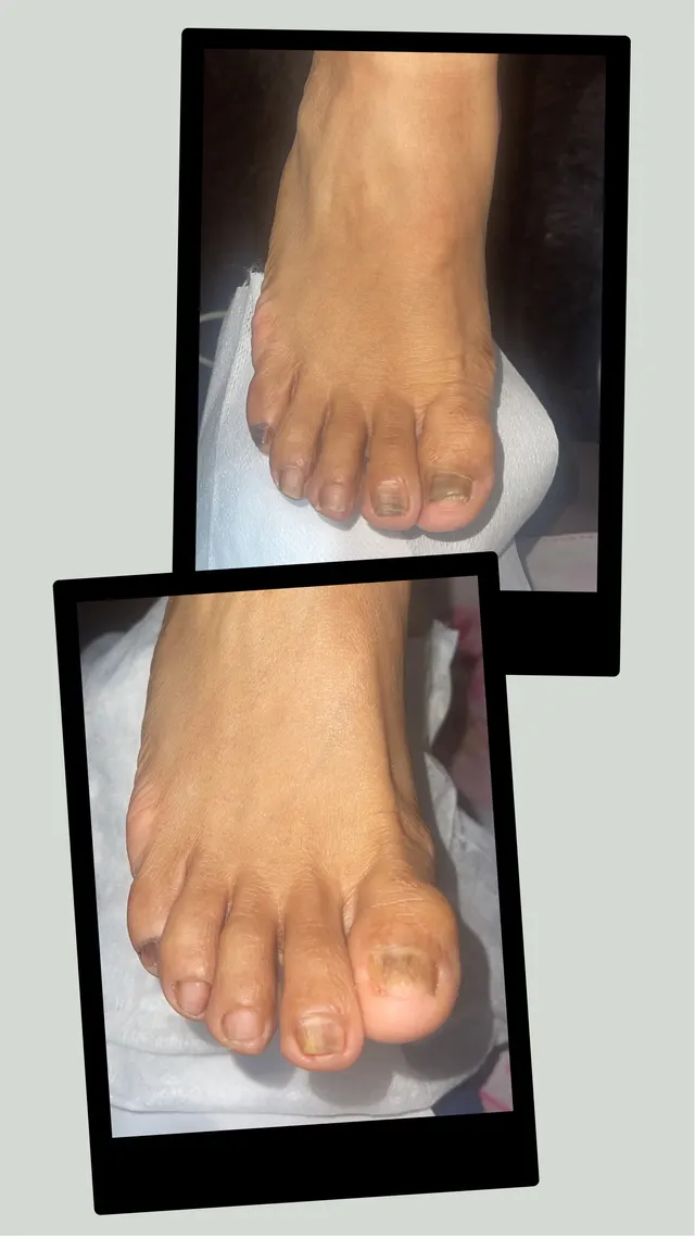 Trabalho de Cristina Guedes