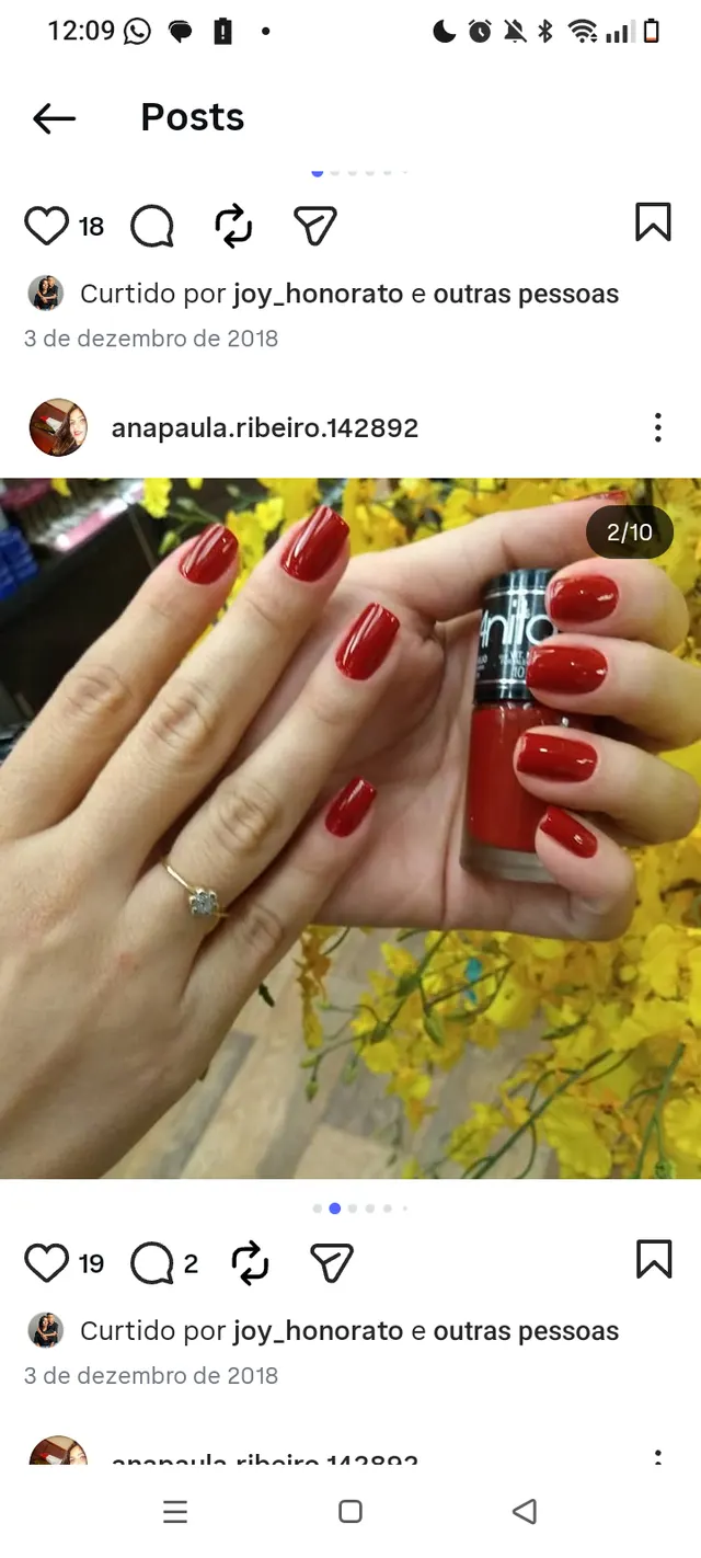 Trabalho de Ana Paula Ribeiro