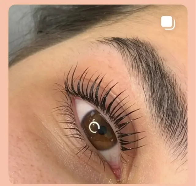 Trabalho de victoria miranda grecchi