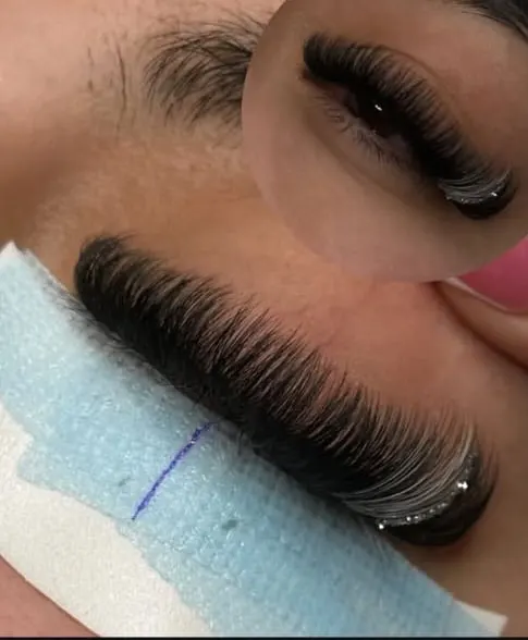 Trabalho de victoria miranda grecchi