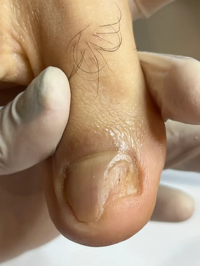 Trabalho de Monique da Silva Ferreira