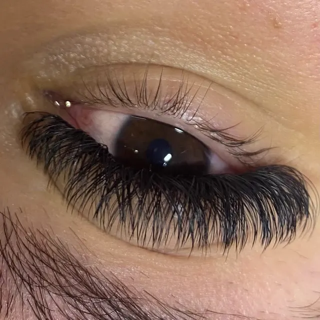 Trabalho de Thaiara Leslie Lopes da Silva