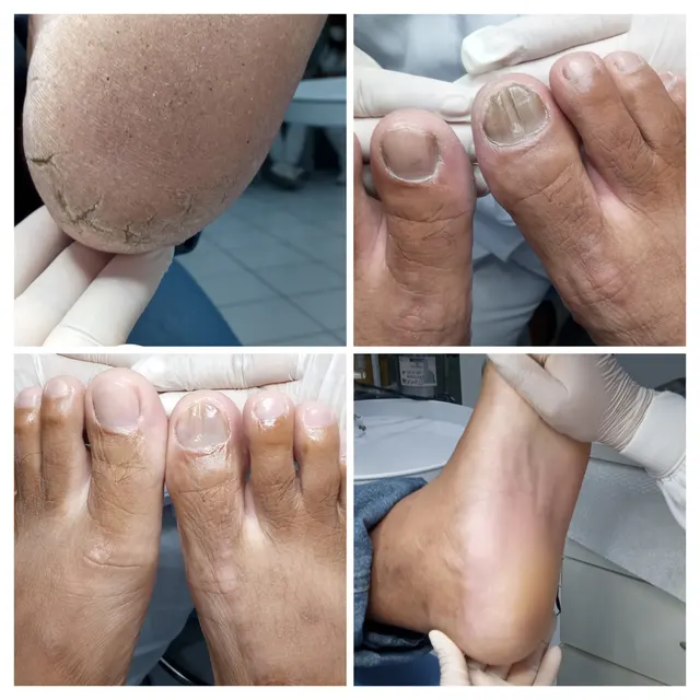 Trabalho de Veronica Inipe luna