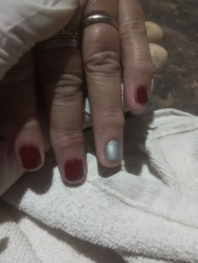 Trabalho de Gabriela Karaim Nunes