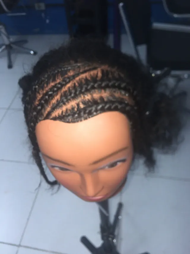 Trabalho de Thaylane figueiredo santos