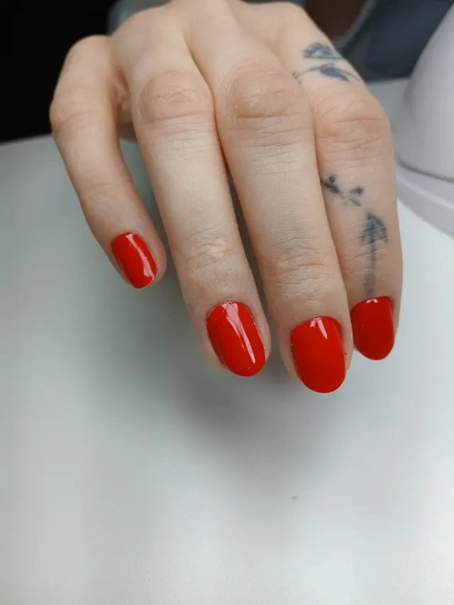 Trabalho de Thais Barbosa Silva