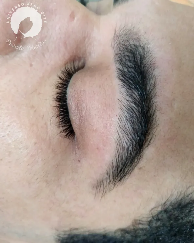 Trabalho de Priscila Ceballos
