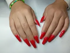 Trabalho de Priscila Torcato