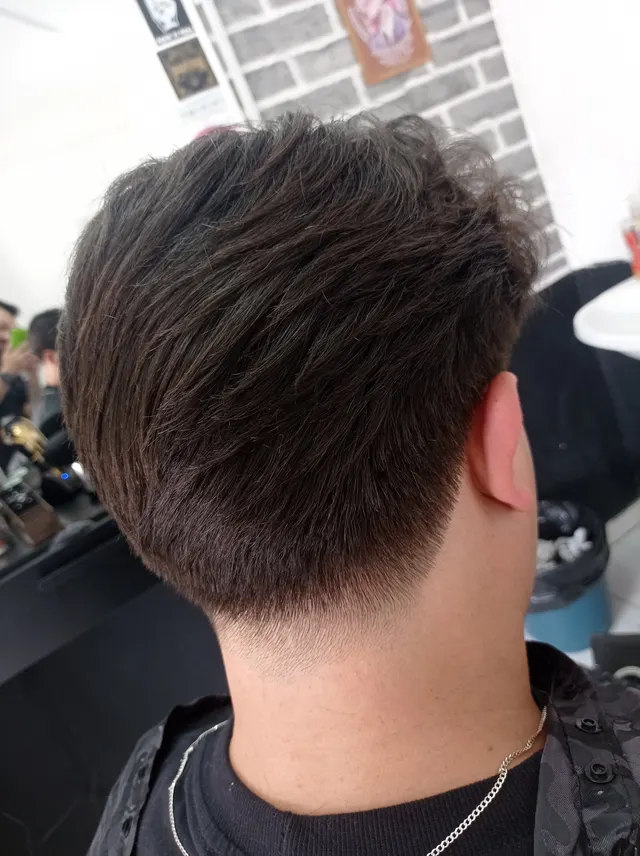 Trabalho de Alexsander Santo