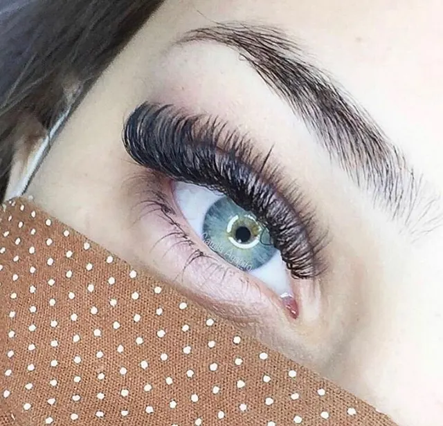 Trabalho de Camila Agapito