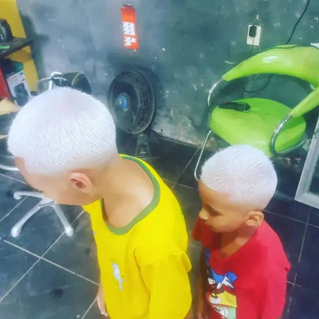 Trabalho de Jorge mauro