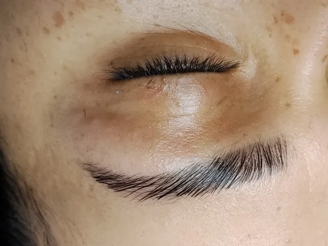 Trabalho de Vanessa Furtado