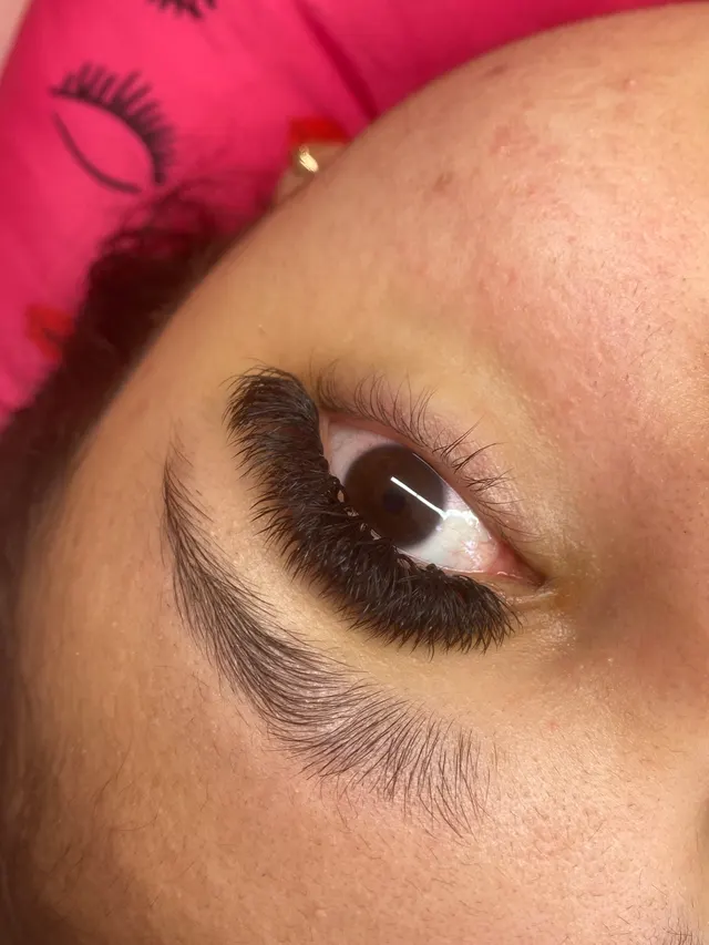 Trabalho de Evelin dos Santos Gomes