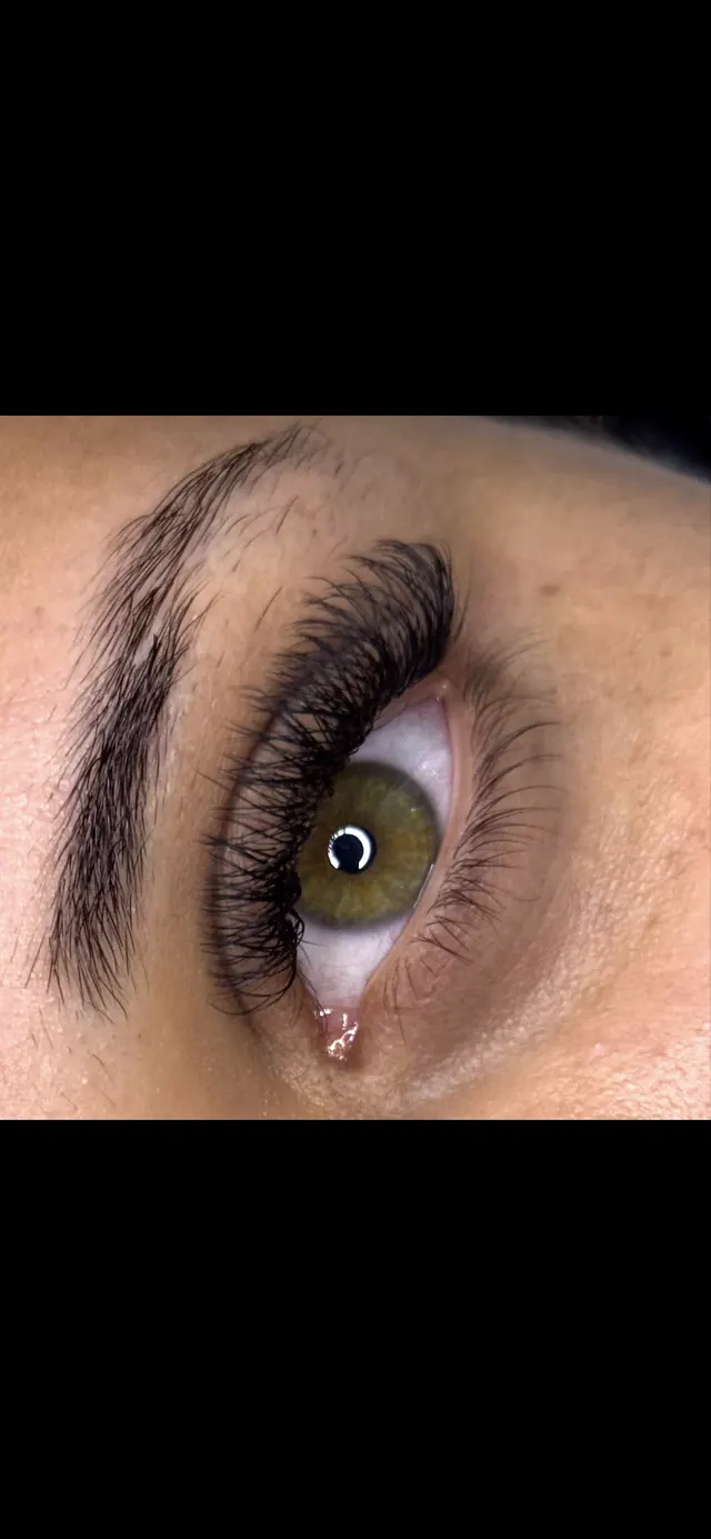 Trabalho de Evelin dos Santos Gomes